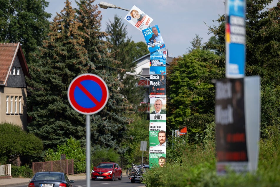 Sechs Wahlplakate von CDU, AfD und Linkspartei umhüllen einen Laternenmast am Stadtrand von Döbeln.