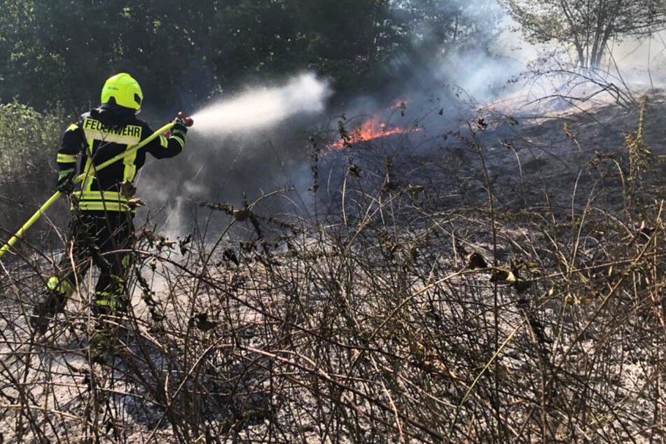 Verheerender Waldbrand: Wohnblöcke evakuiert, sechs Feuerwehrleute in Klinik
