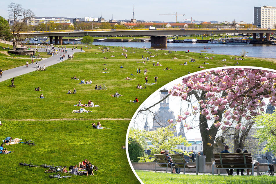 Erster Sommertag in Dresden: Muttertag mit viel Sonnenschein lockt Hunderte ans Elbufer