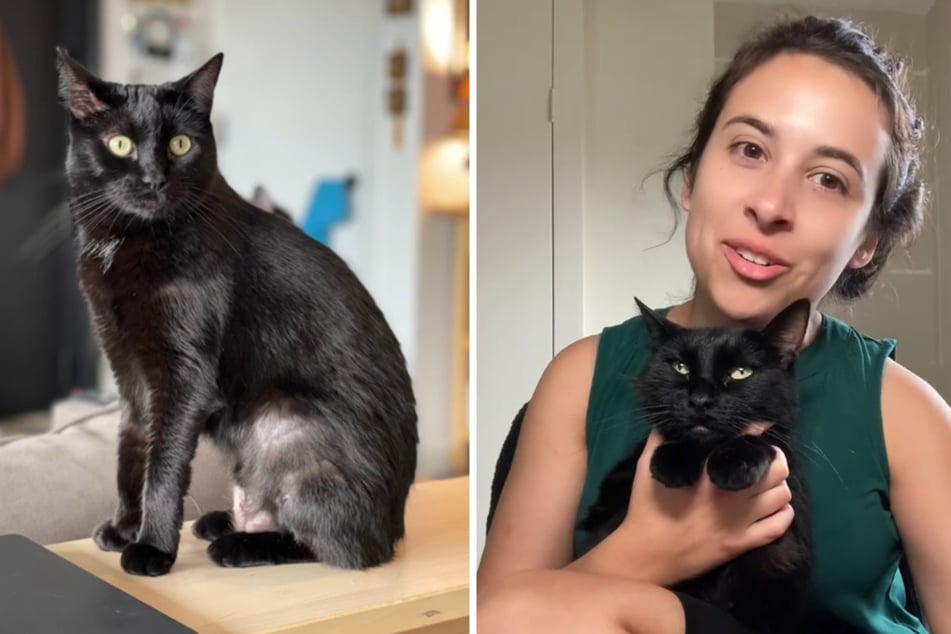 Christine Scherer (32) and her cat Pooka have recently developed a problem.