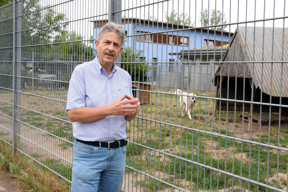 Leipzigs Tierheimleiter Michael Sperlich vor einem Zwinger der Einrichtung. Sperlich zufolge ist das Heim der Messestadt derzeit "am Limit".