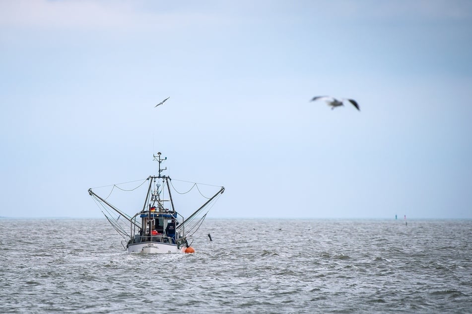 Die Fischerei steht vor großen Herausforderungen. (Symbolbild)