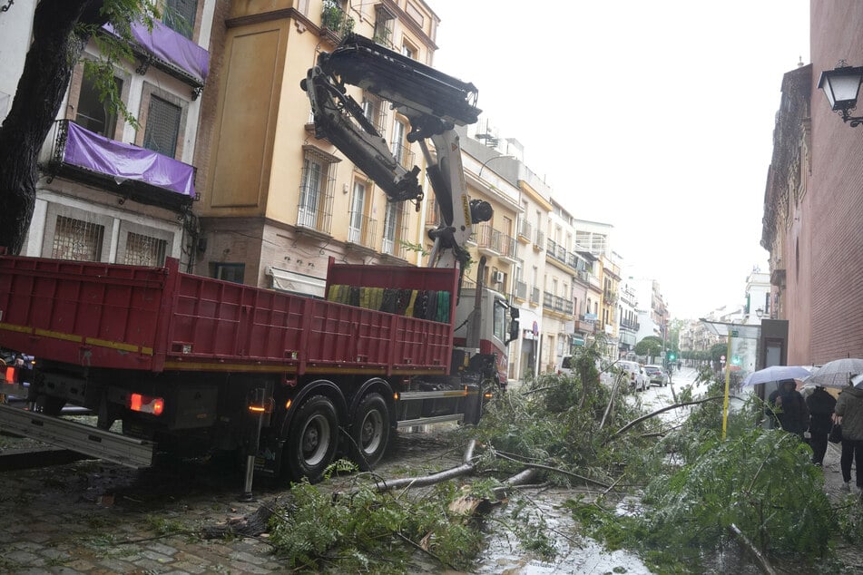 Im spanischen Sevilla mussten Mitarbeiter der Stadtverwaltung umgestürzte Bäume von den Straßen räumen.