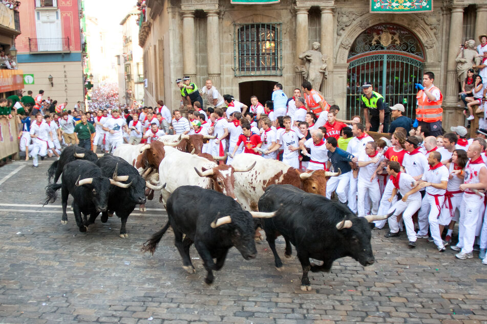 Vielerorts in Spanien Tradition: Die Stiere werden durch die Stadt hin zur Stierkampfarena getrieben. Wagemutige stellen sich ihnen entgegen. Hier in Pamplona.