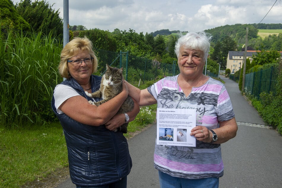 Simone Knöbel (60, l.) mit ihrer Katze "Heidi" und Martina Frommhold (72) haben Angst um die Vierbeiner.
