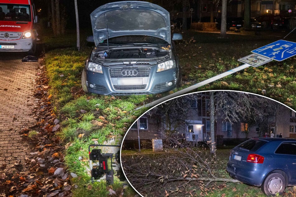 23-Jährige ohne Führerschein verwechselt Gas mit Bremse - und fällt mit ihrem Audi einen Baum