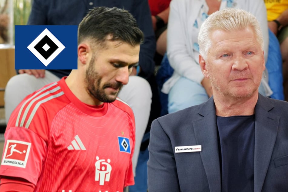 HSV-Blog: Stefan Effenberg traut Daniel Heuer Fernandes die Nationalelf zu