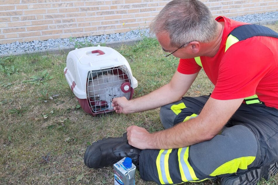 Einsatzkräfte der Feuerwehr Wiederitzsch mussten am Sonntag eine Katze aus einem versehentlich verriegeltem Auto befreien.