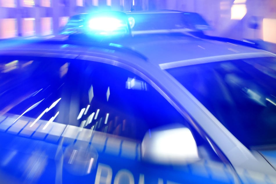 Die Polizei geht den Sichtungen der Horror-Katze auf die Spur. (Symbolfoto)