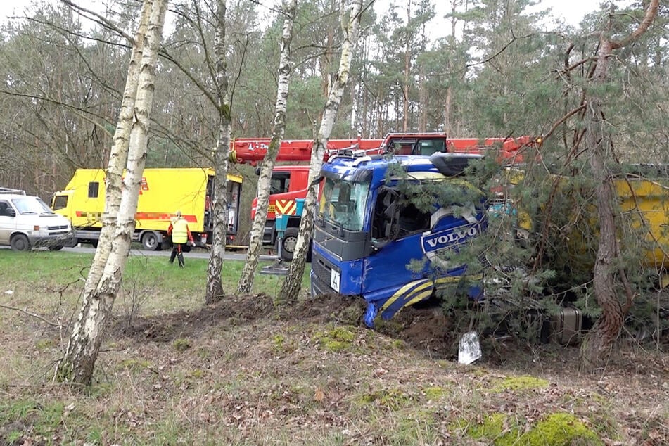 Bei einem Unfall in Dolle rauschte ein Lkw in ein angrenzendes Wäldchen.