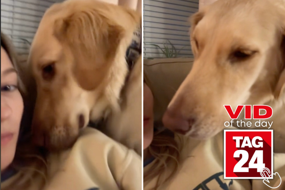 Today's Viral Video of the Day features a pup named River who threw a tantrum in front of his human mama!