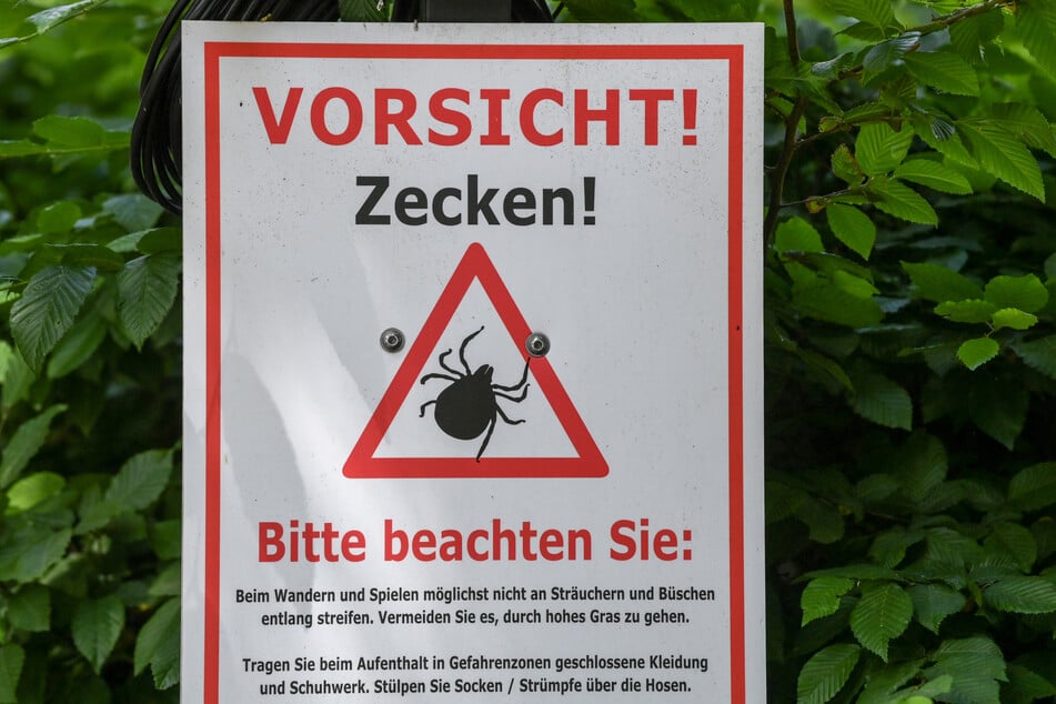 Nach einem längeren Aufenthalt in der Natur ist es ratsam, den Körper nach Zecken abzusuchen. (Symbolbild)