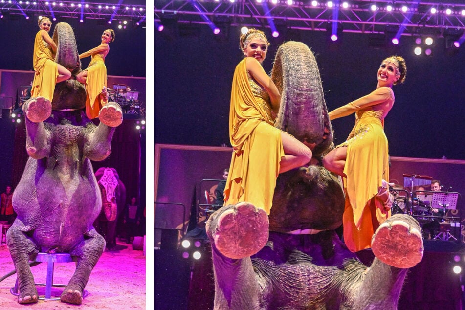 Dresden: Weihnachts-Circus startet Vorverkauf