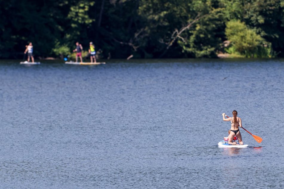 Köln: Von FKK-Strand bis Wassersport: Diese Badeseen bieten in NRW Abkühlung - auch für Hunde