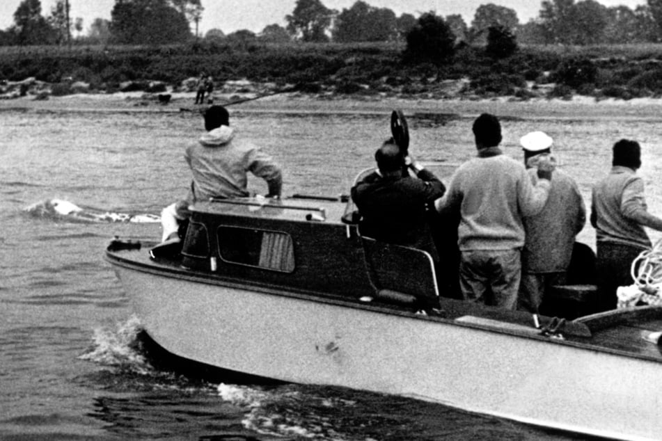 Walfänger versuchten, das Tier mit einem Schiff vor sich her zu treiben. (Archivbild)