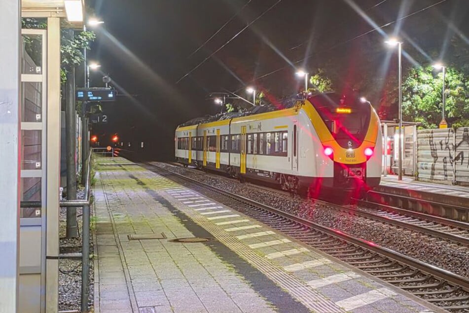 Der Zug blieb nach dem Vorfall am Bahnhof in Ettlingen-Bruchhausen stehen.