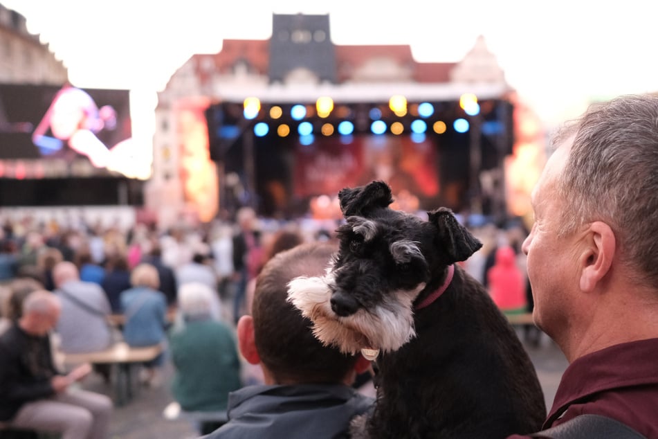 Der Leipziger Stadtrat hat am Mittwoch nicht über die neue Hundesteuersatzung entschieden. (Symbolfoto)