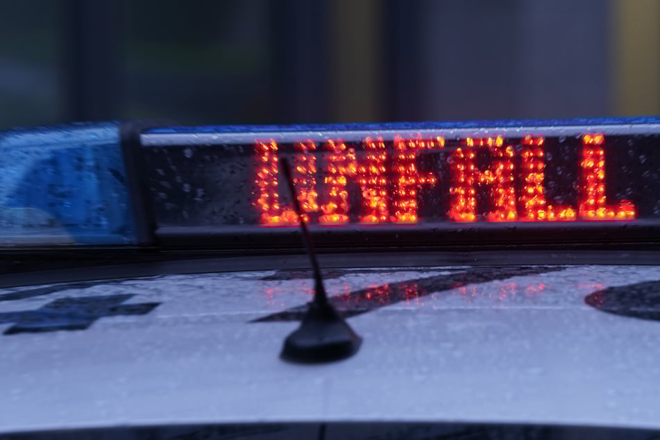 Tragischer Unfall: Hund rennt auf Straße und kollidiert mit Roller - Zwei Schwerverletzte