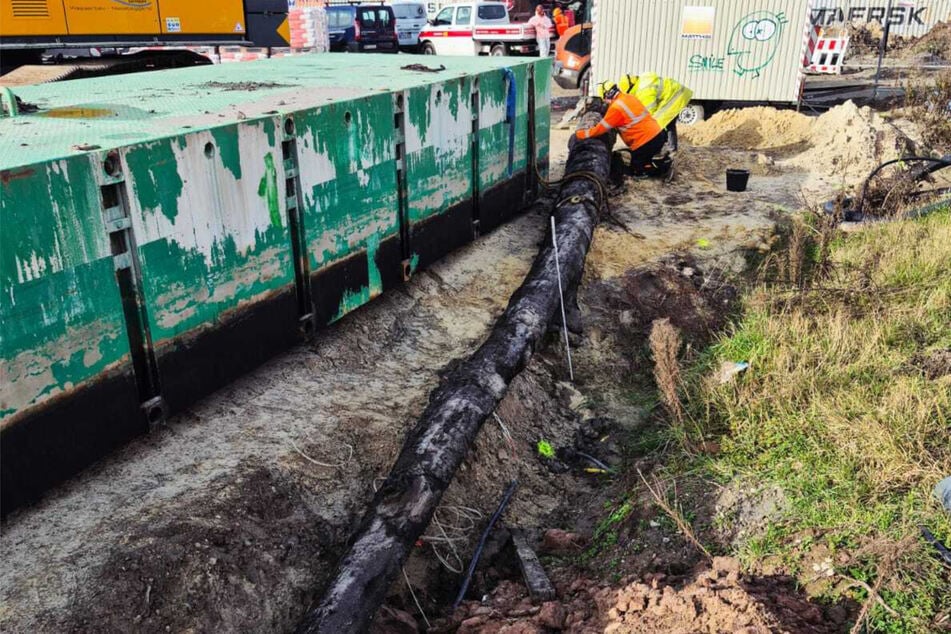 Bauarbeiter haben einen Baumstamm bei Arbeiten zum Wesertunnel in zehn Meter Tiefe entdeckt. Er ist mehr als 8000 Jahre alt.