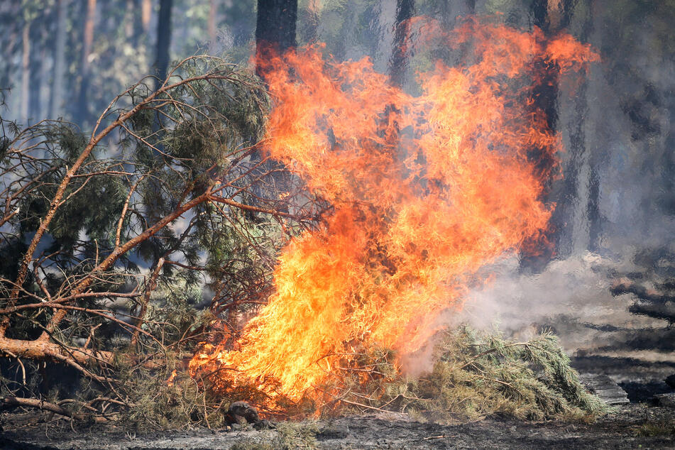 Viel Sonne und kaum Regen erhöhen derzeit die Waldbrandgefahr in NRW (Archivbild).