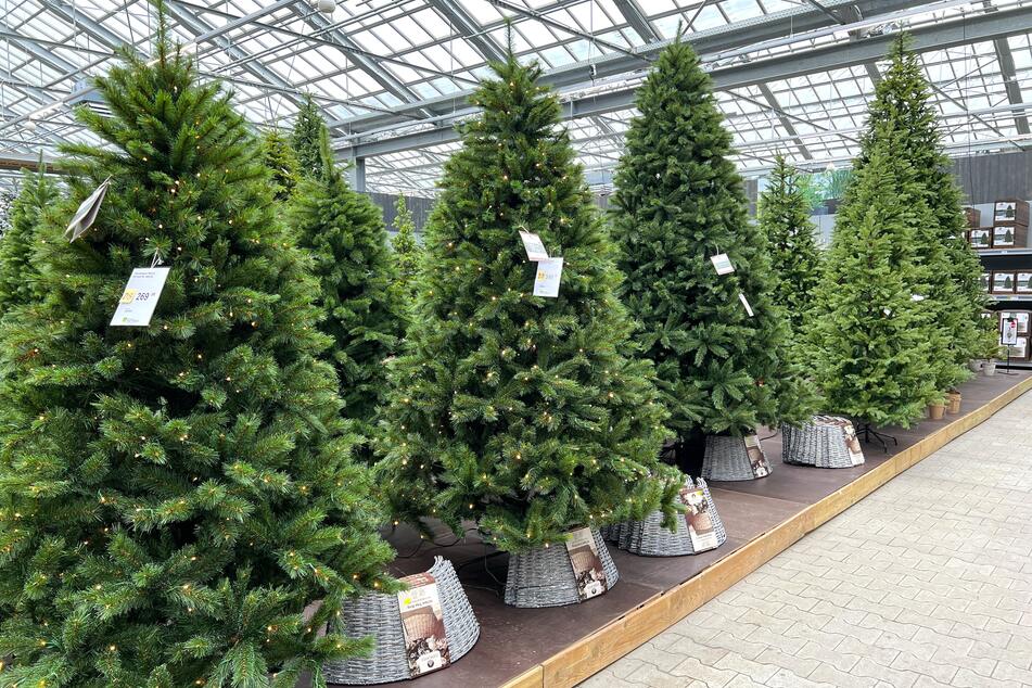 Beliebtes Gartencenter verkauft Weihnachtsbäume in allen Variationen