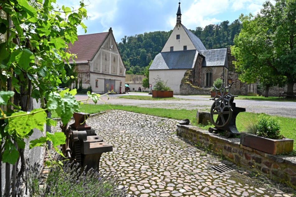 Immer ein Ausflug wert: das Kloster Buch bei Leisnig.