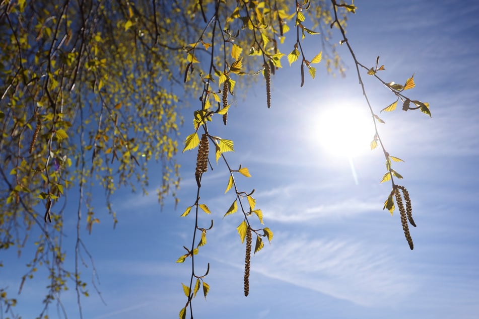 Am Wochenende steigen die Werte in NRW auf bis zu frühlingshafte 20 Grad an, wobei sich hin und wieder auch die Sonne blicken lässt.