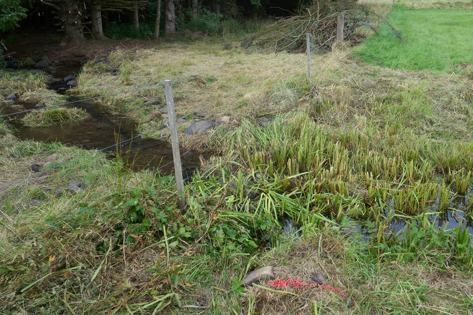 Neue Details: Westerwald-Killer hätte Tatwaffe gar nicht besitzen dürfen