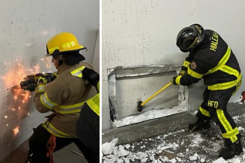 Firefighters sawed and hammered their way through the wall to rescue Yanko the dog.