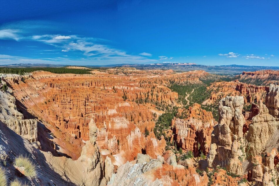 A cat was the only survivor of a tragic incident at Bryce Canyon National Park in Utah that killed two people.