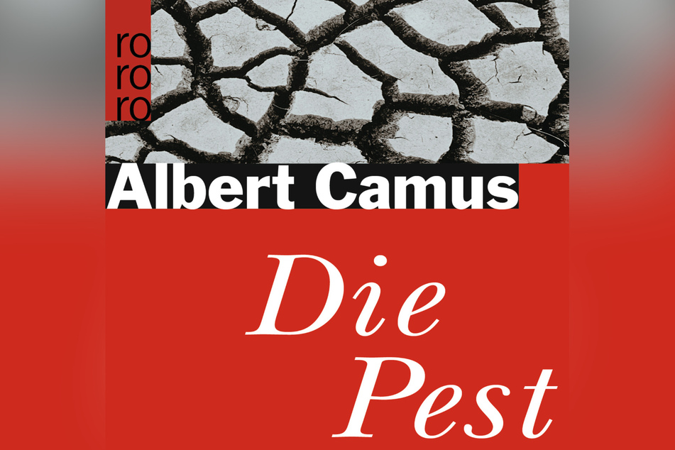 Das Buch: "Die Pest", Rowohlt, 12 Euro