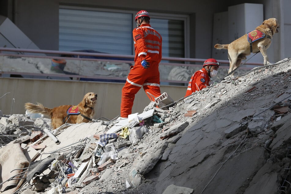 Rescue teams were searching for survivors in the rubble of a collapsed building with the help of dogs.