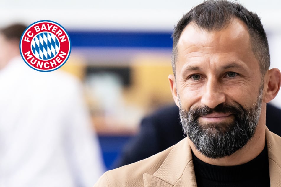 Salihamidzic vom FC Bayern lobt deutsche Bilanz: Bundesliga setzt Zeichen in Europa!