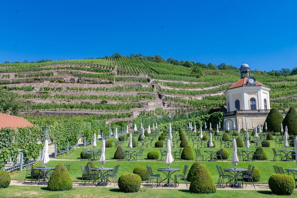 Schloss Wackerbarth ist das perfekte Ziel für einen Frühlingsausflug.
