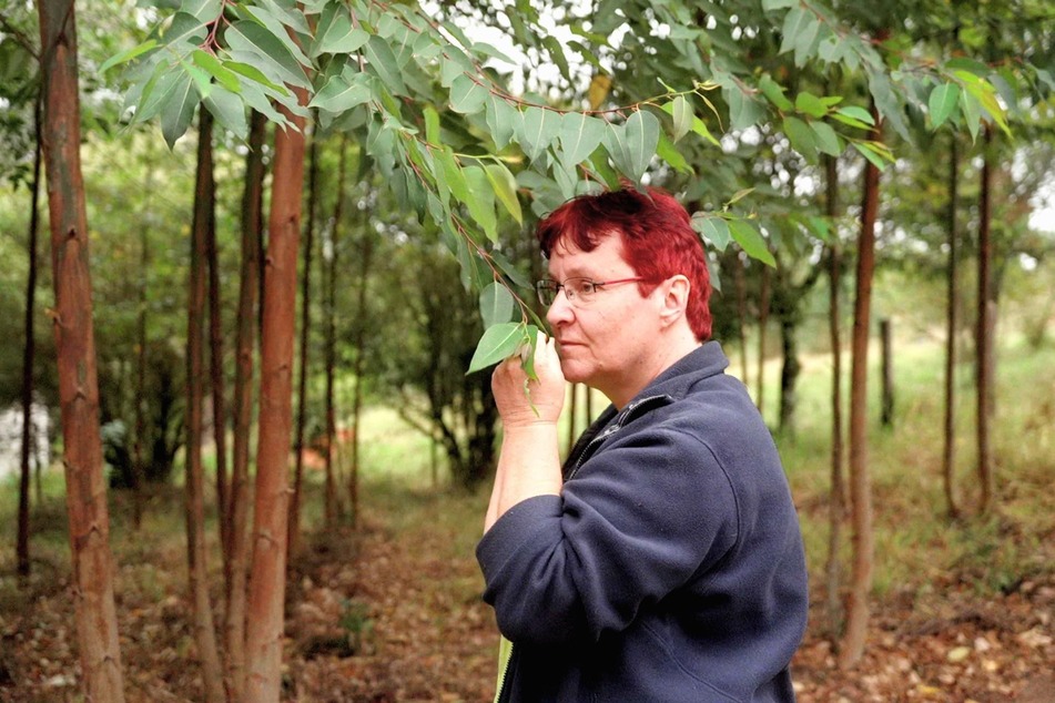 Ulrike (57) lebt in Brasilien und ist dort unter anderem als Obst-Bäuerin tätig.