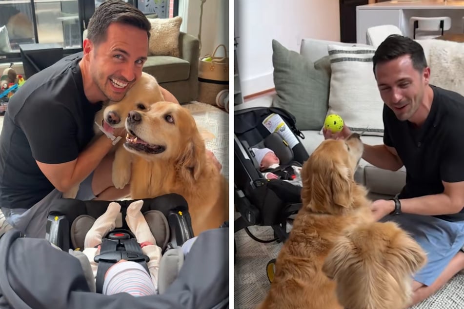 Der frischgebackene Papa Kevin Bubolz strahlt. Seine Golden-Retriever-Mädels Ellie und Emma sind ebenfalls außer sich vor Freude. Aber was soll der Tennisball?