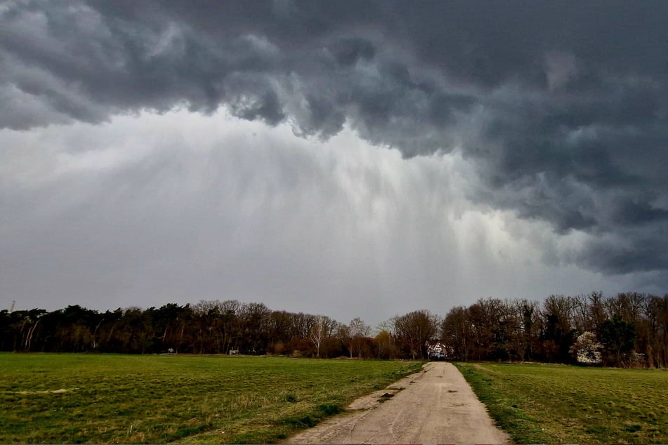 In der nördlichen Altmark sowie vom Harz bis ins Burgenland können am Donnerstag unwetterartige Gewitter auftreten. (Archivbild)