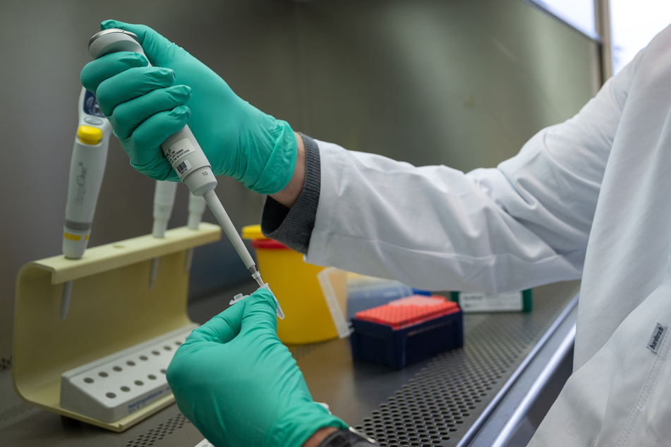 Ein Forscher zeigt, wie ein PCR-Test für die Analyse auf Mutationen des Coronavirus vorbereitet wird. In Niedersachsen dominiert die Omikron-Variante.