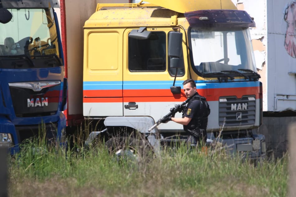 Die Polizei hat die flüchtige Raubkatze erschossen.