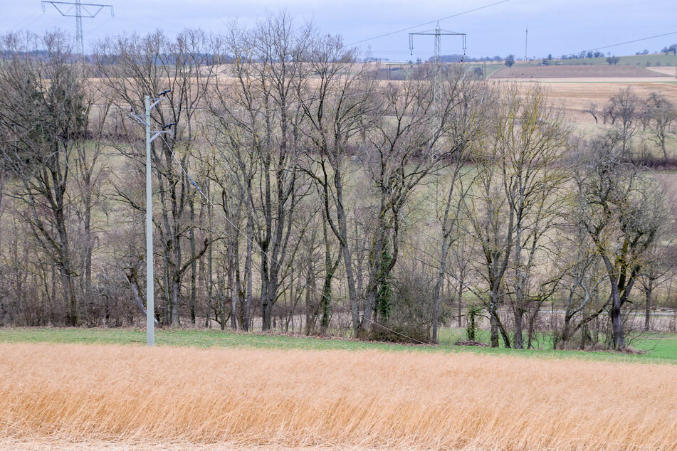 Das betroffene Feld bei Ehrstädt: Gut zu erkennen ist der beschädigte Strommast mit herunterhängendem Kabel.