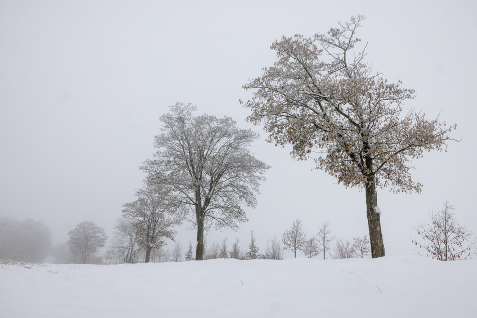 Bis zu 20 Zentimeter Schnee: Die weiße Pracht bedeckt Thüringen