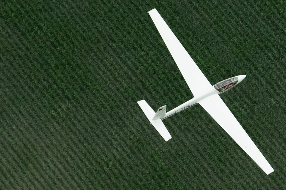 Segelflugzeug stürzt bei Landeanflug in Waldstück: Beide Insassen verletzt