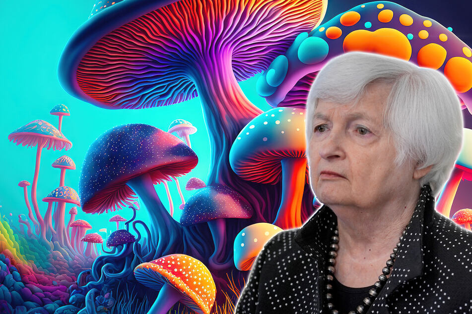 Treasury Secretary Janet Yellen said that during her recent China trip, she ate mushrooms that are hallucinogenic if not prepared properly.