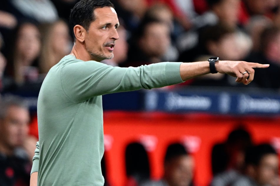 Dino Toppmöller (44) gab sich vor dem Bayern-Kracher optimistisch. Seine Spieler müssten aber ihre zuletzt gegen Atlético gezeigte Ehrfurcht ablegen