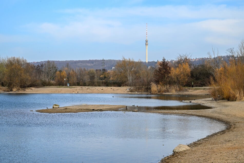 Dresden: Mit FKK? Kiesgrube Leuben soll offiziell Badesee werden