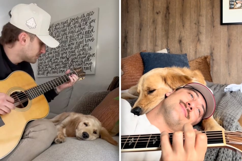 Egal wann und wo - sobald Levi Sebastian Blehm seine Gitarre zückt, ist Golden Retriever Goose nicht weit.