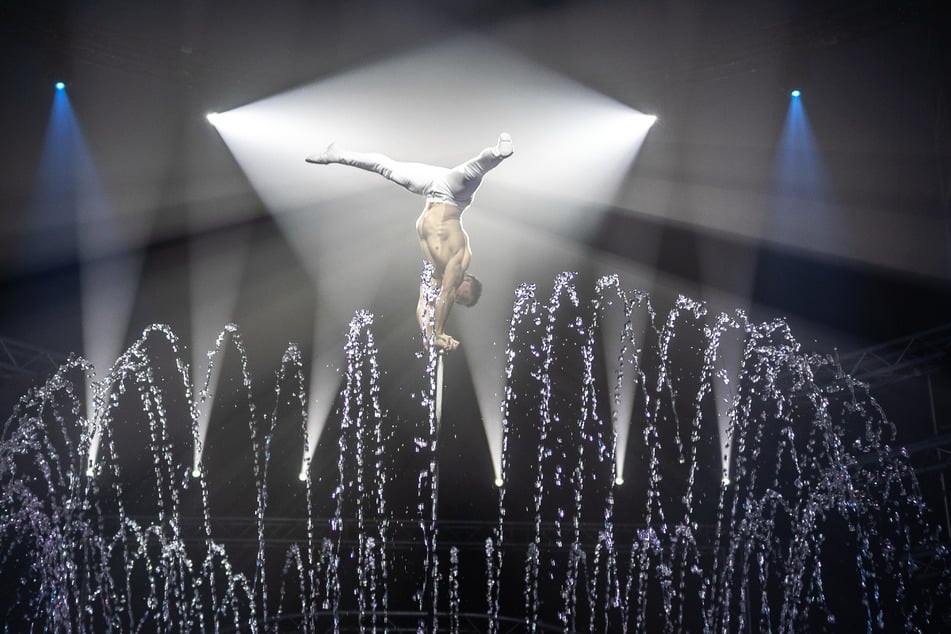 NIRIO RODRIGUEZ TEJEDA