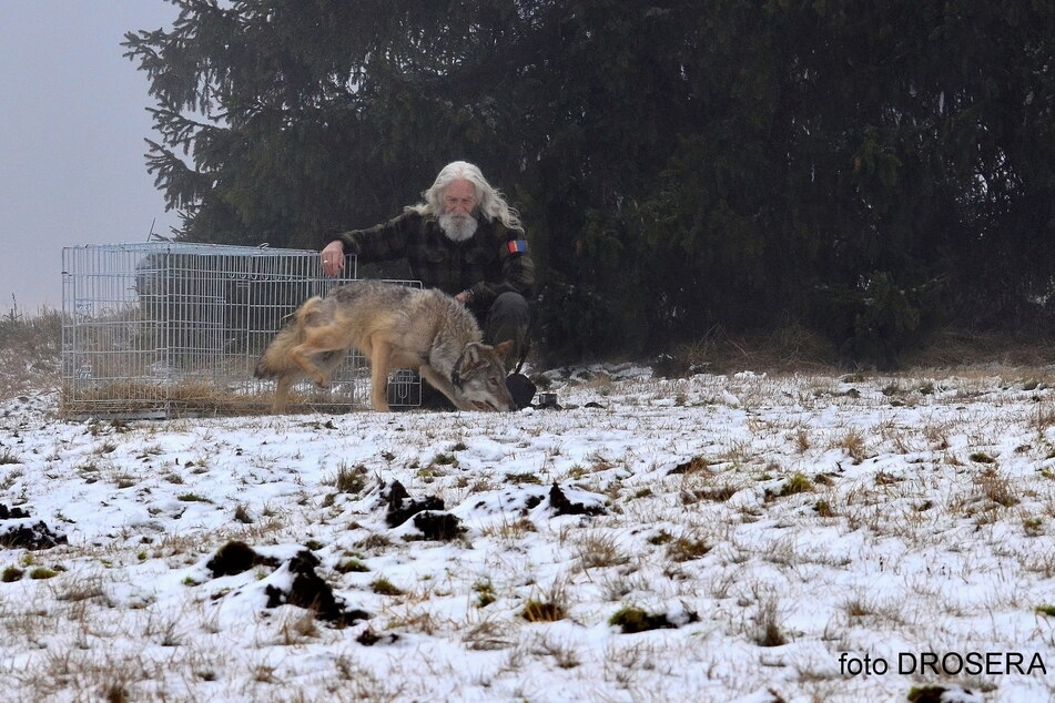 Im Januar wurde Bubla nach vier Monaten in der Tierrettungsstation Drosera wieder auf freien Fuß gesetzt.