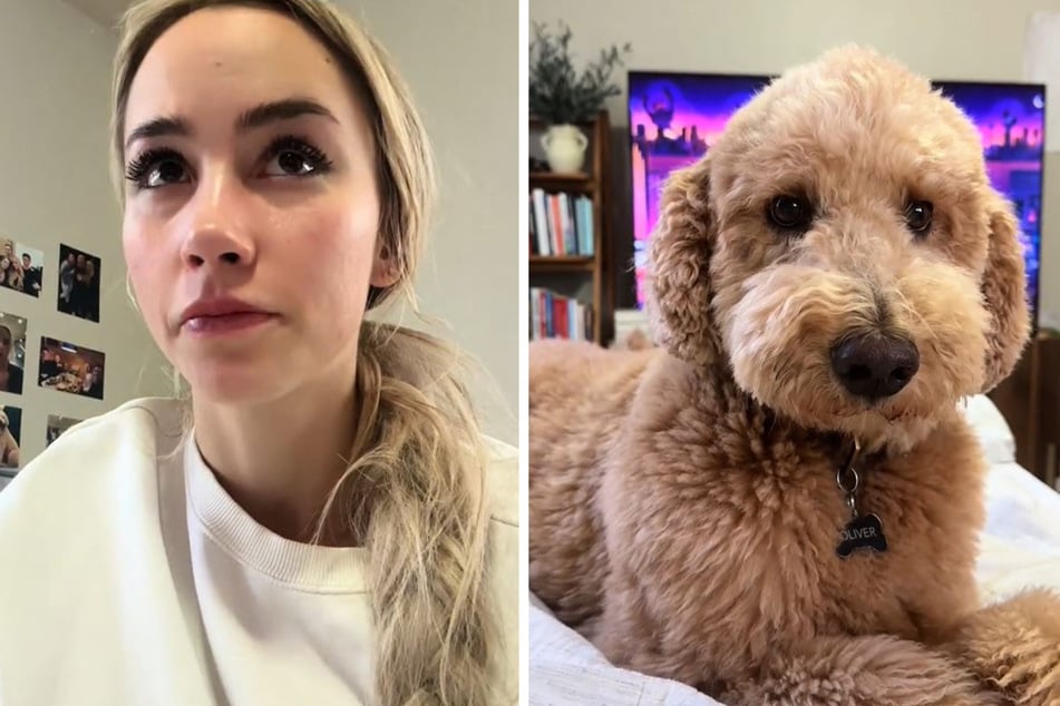 Kat Braden's dog had a super sweet reaction to her tears.