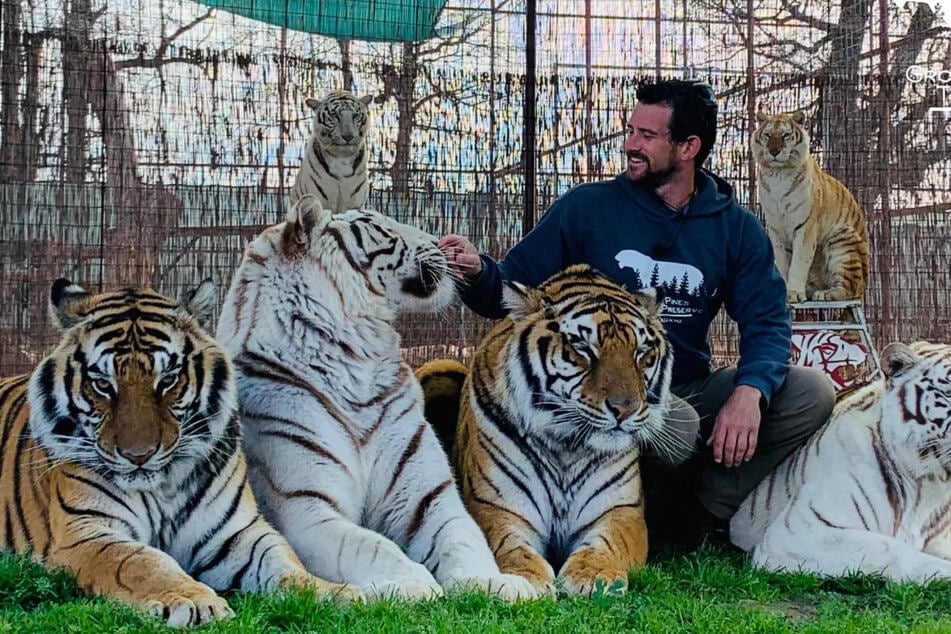 Ryan Easley liebte die Arbeit mit den Raubkatzen.